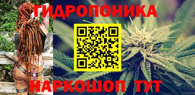 apvp Кингисепп
