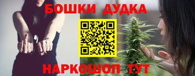 apvp Кингисепп