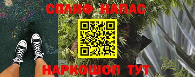 apvp Кингисепп