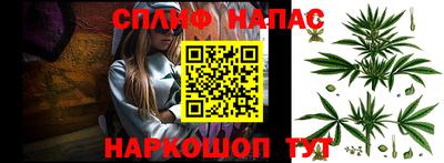 apvp Кингисепп
