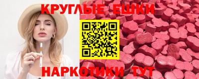 apvp Кингисепп